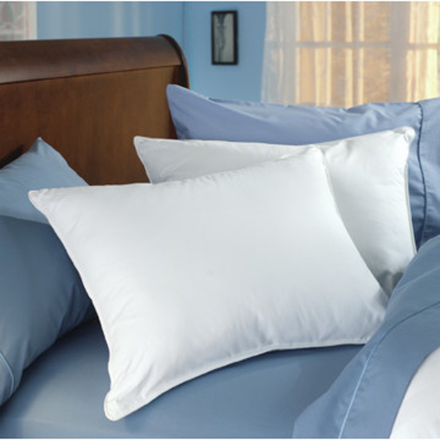 Pacific Coast Down Surround King Pillow Set (2 King Pillows)